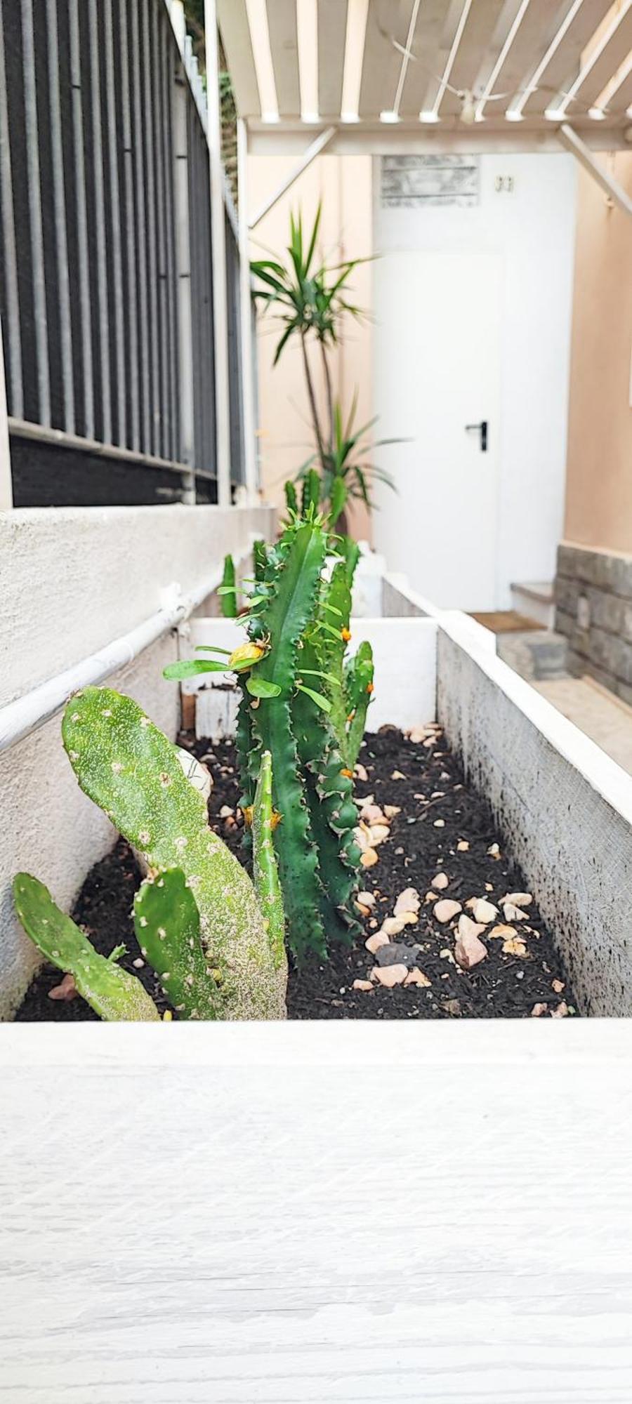 Ferienwohnung Bibliososta Anche Al 1° Piano Anno 2024 Ventimiglia Exterior foto